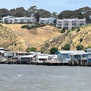 Skull Slip On Canvas Sneakers Skulls